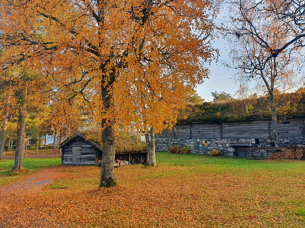 Romsdalsmuseet 