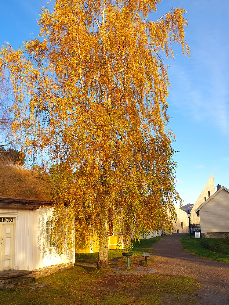 Romsdalsmuseet 