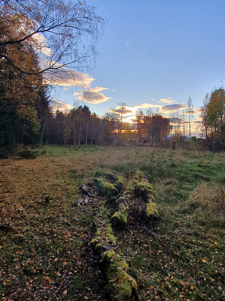 Kveldslys utenfor Retiroskogen 