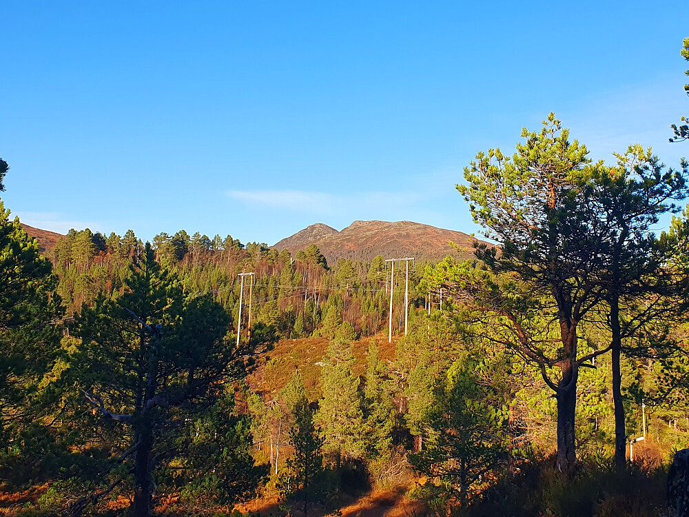 Såta og Skolmelia