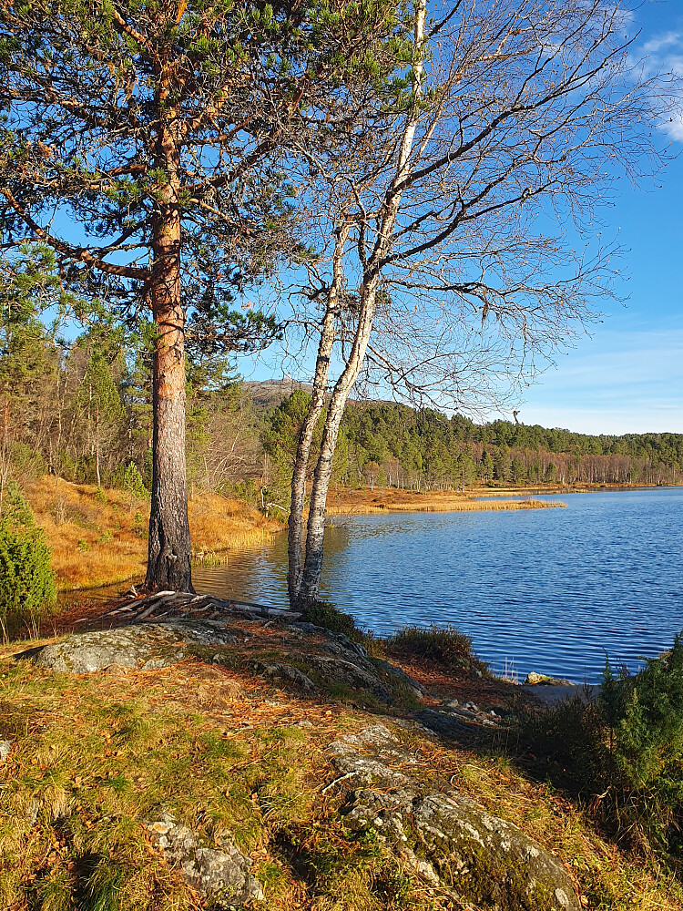 Øverlandsvatnet