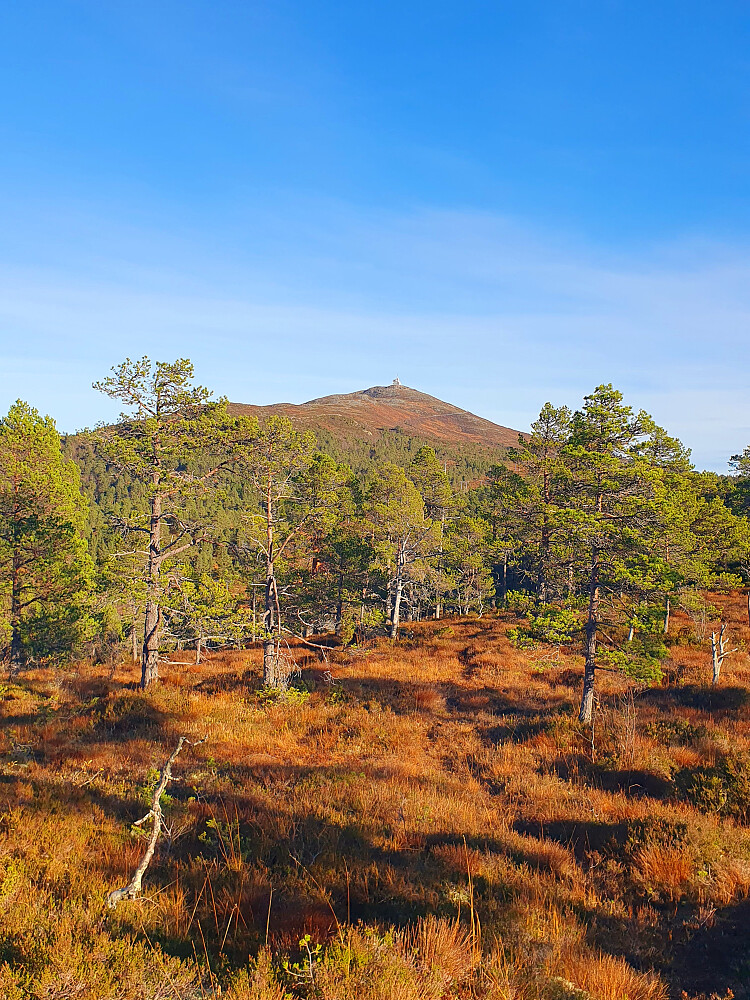 Hindalsrøra (mot Tusten)