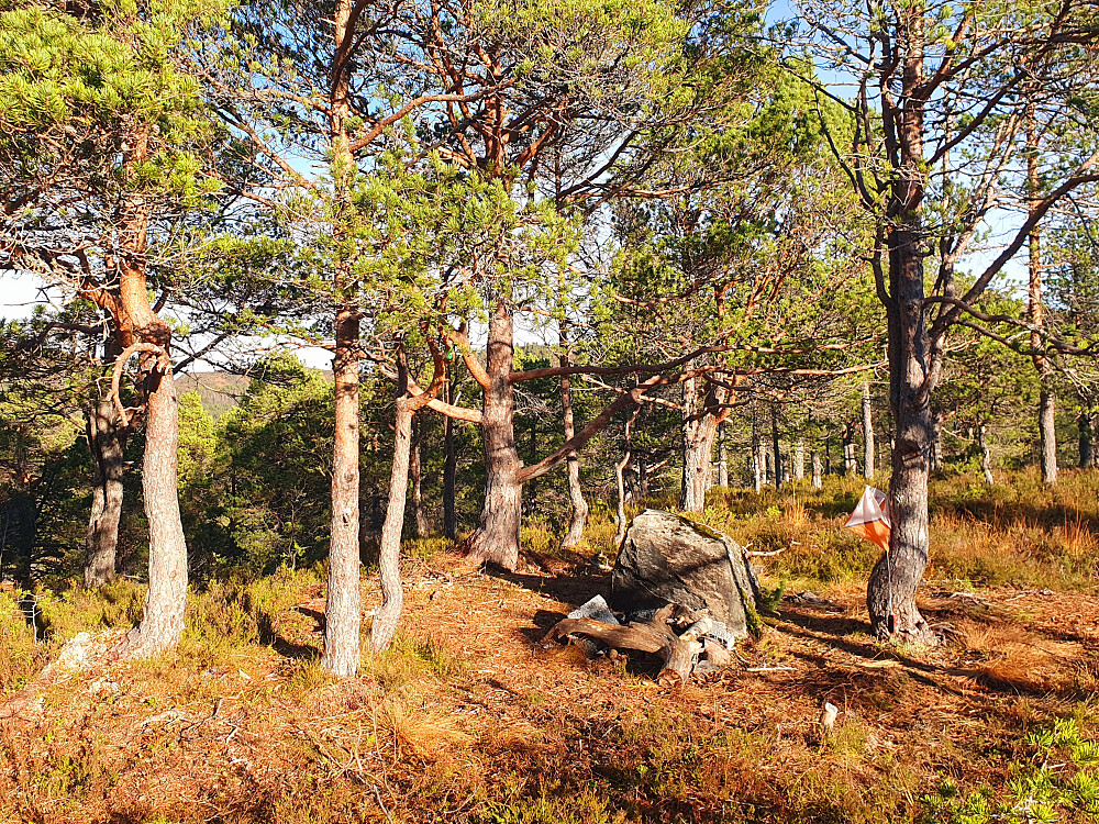 Hindalsrøra