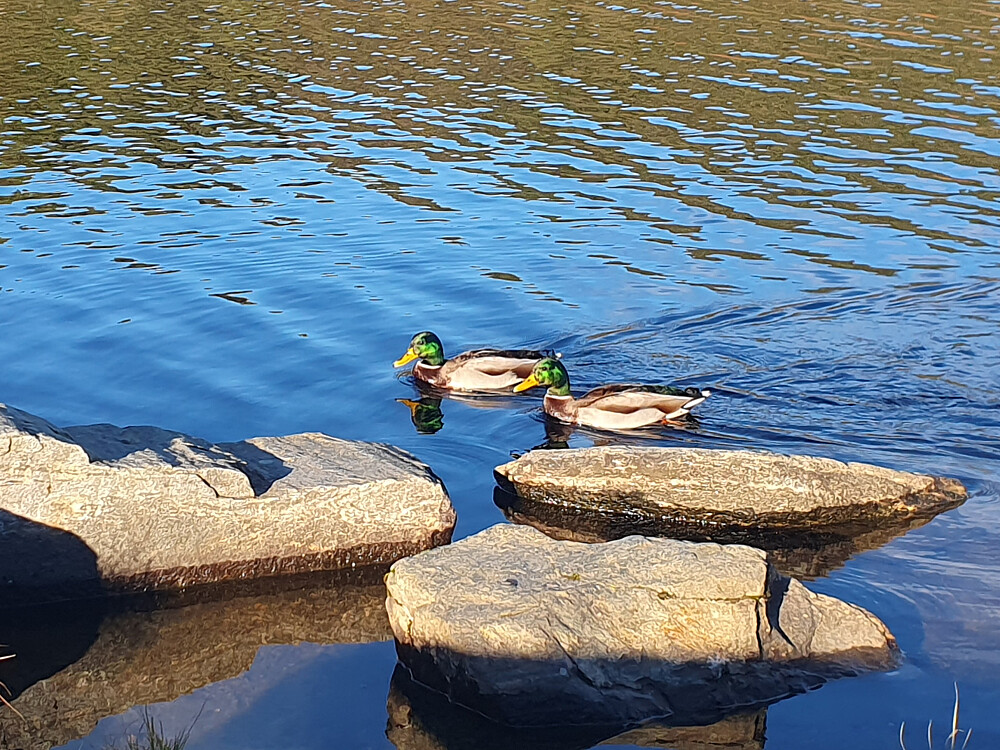 Ender på Øverlandsvatnet