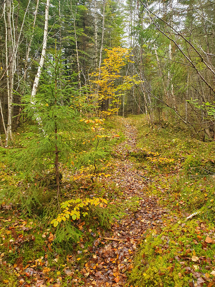Over Retirohaugen 