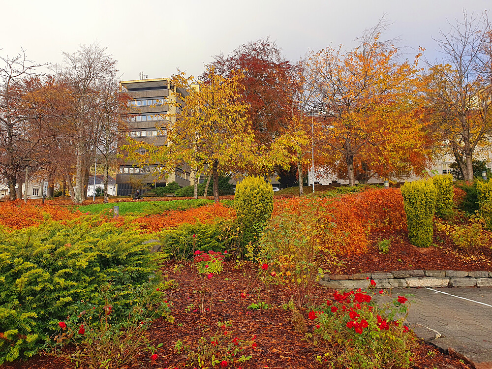 Fylkeshuset
