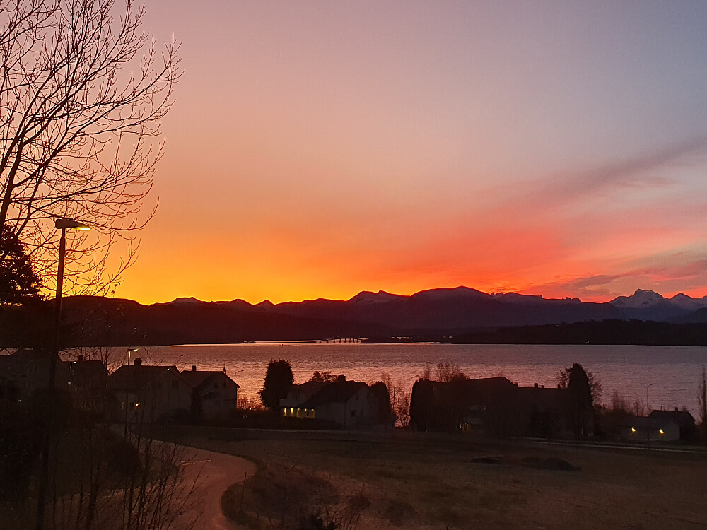 Morgenstemning i Myrvegen 