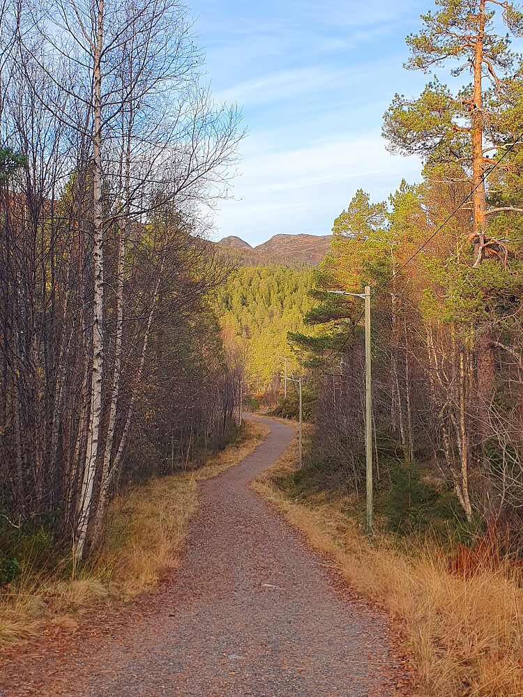 I lysløypa - mot Såta/Skolmelia