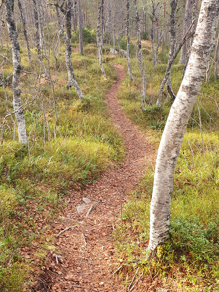 Ned fra Øverlandshaugen