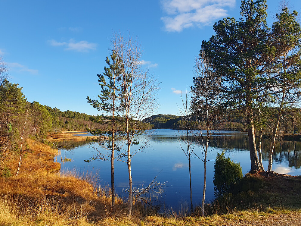 Øverlandsvatnet