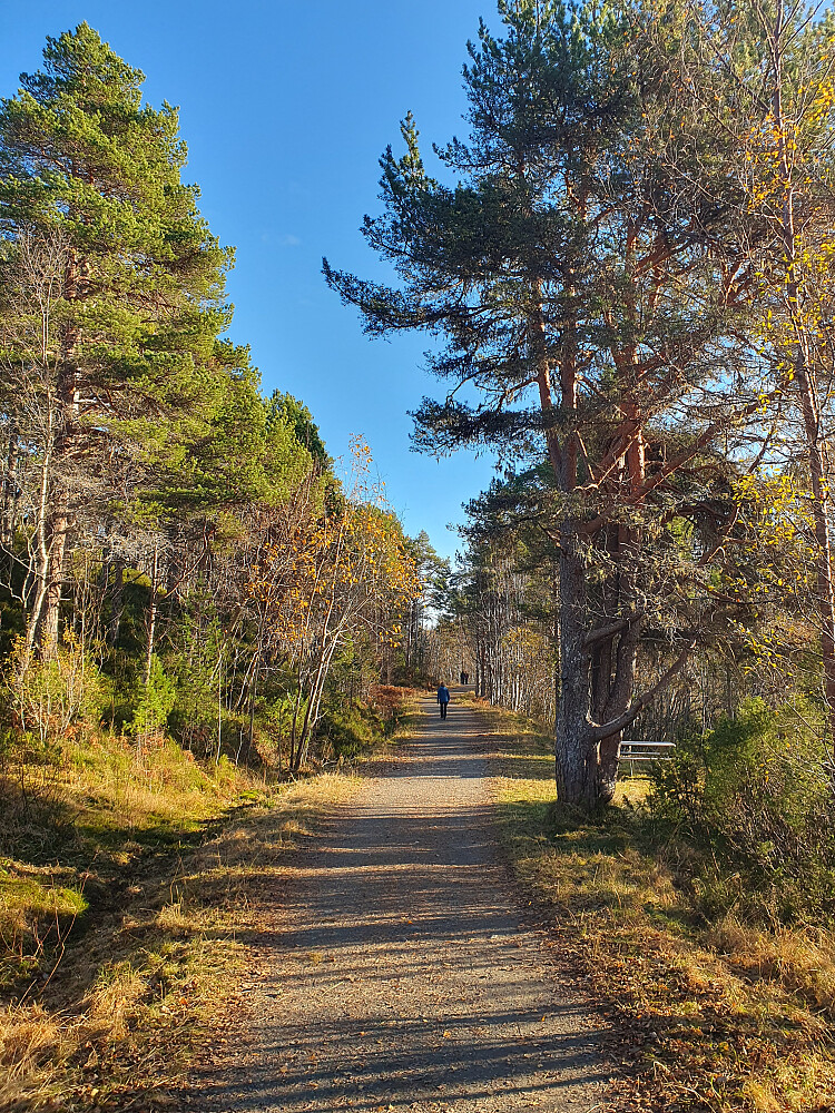 Mellom Moldegårdsstølen og Øverlandsvatnet