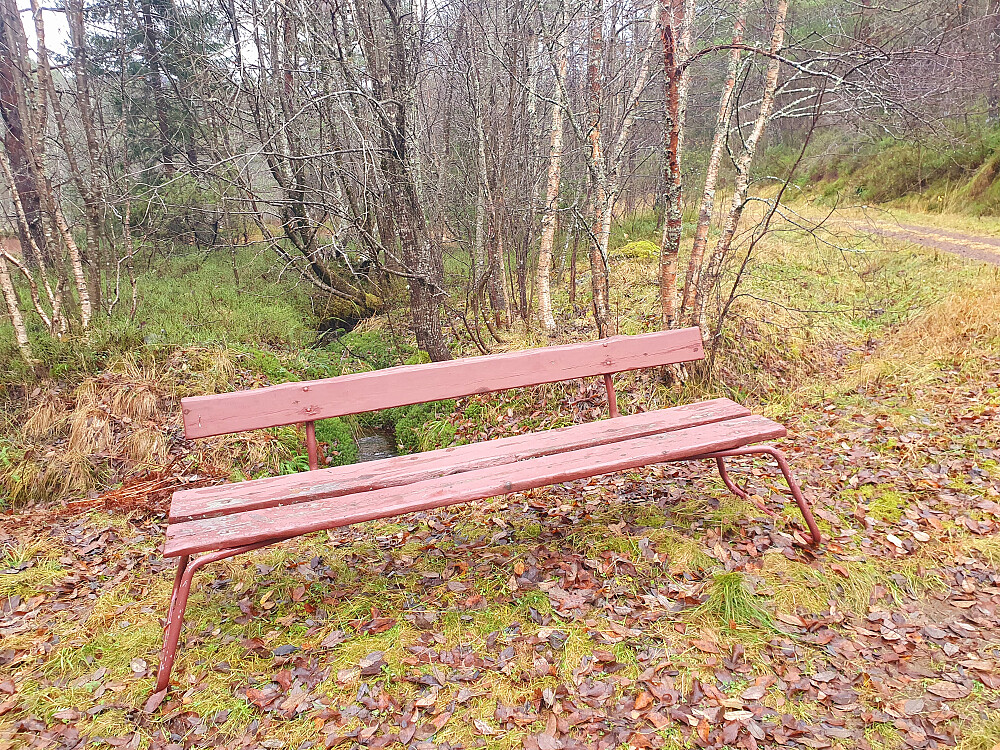 God kvilerbenk ovenfor Hatlelia