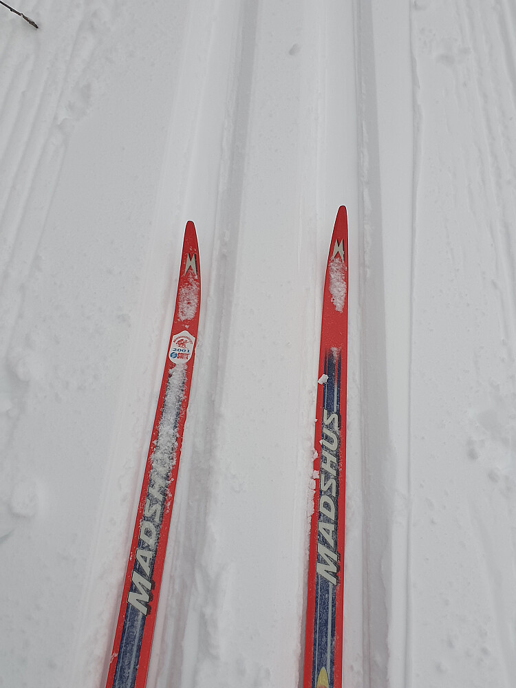 Dagens skivalg - Rode multigrade voks var helt supert under 