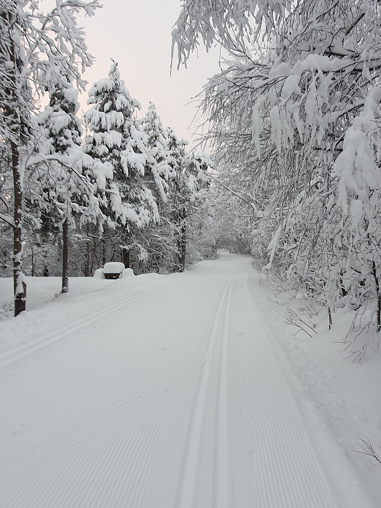 Mellom Øverlandsvatnet og Moldedalen 