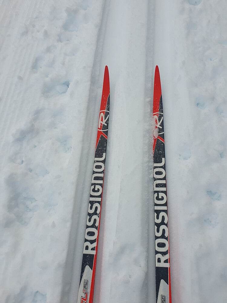 Felleski i dag, litt bakglatt, men fungerte greit.