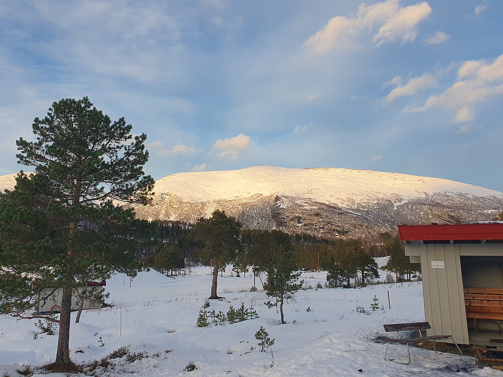 Urfjellet 