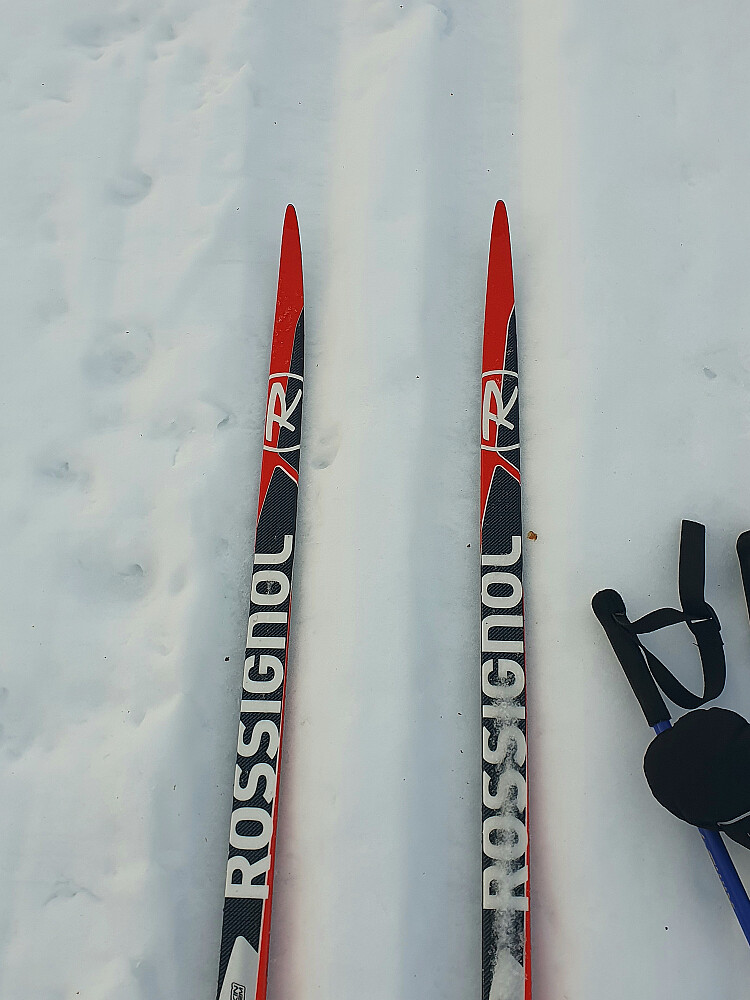 Felleski i dag. Fungerte meget bra utenom løypene. 