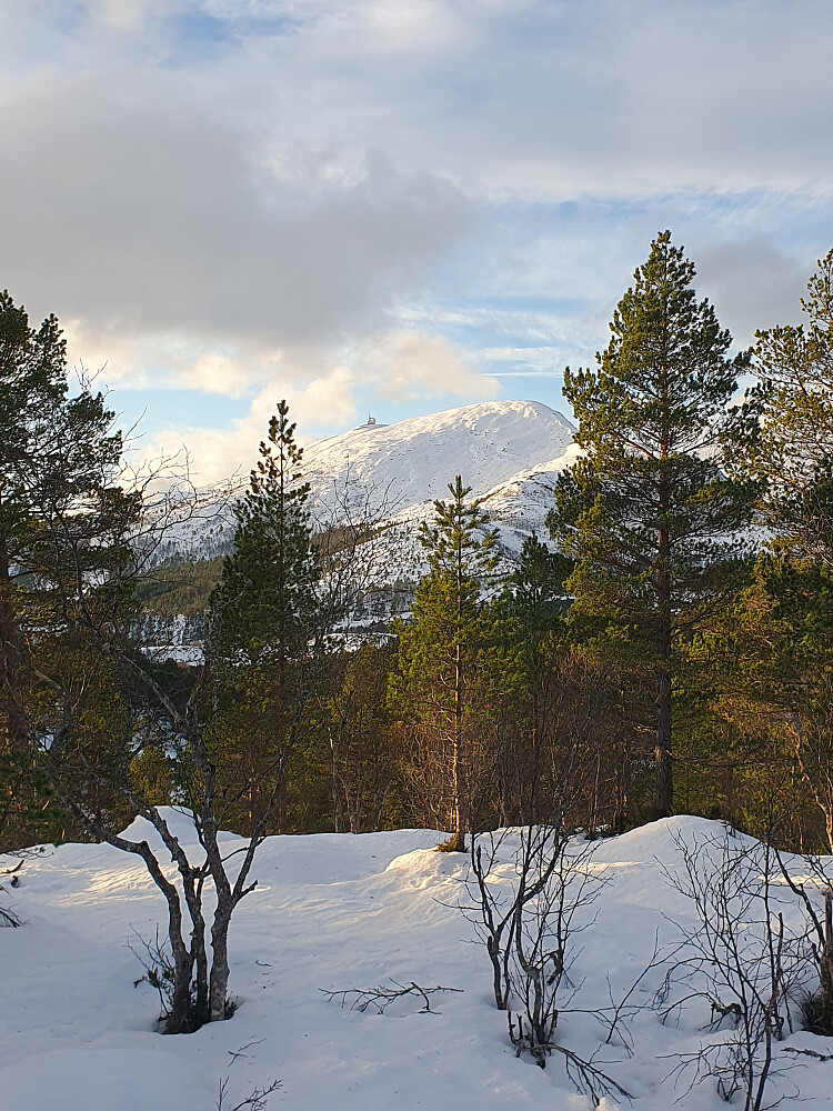 Tusten sett fra Merrahaugen 