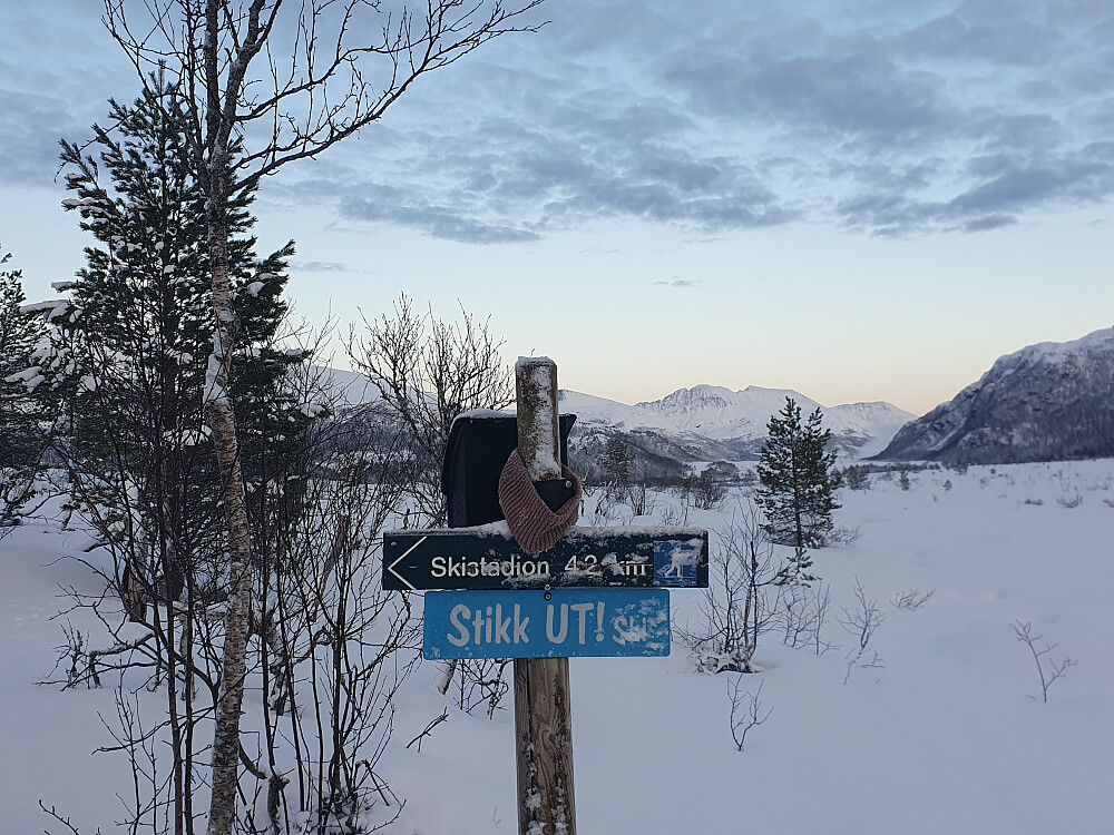 Vinter Stikk-ut i gang 