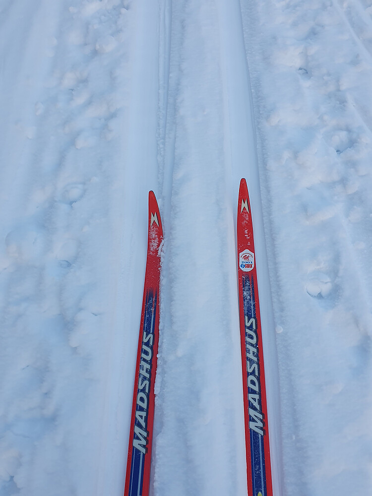 Voksføre igjen - Rode Multigrade meget bra 