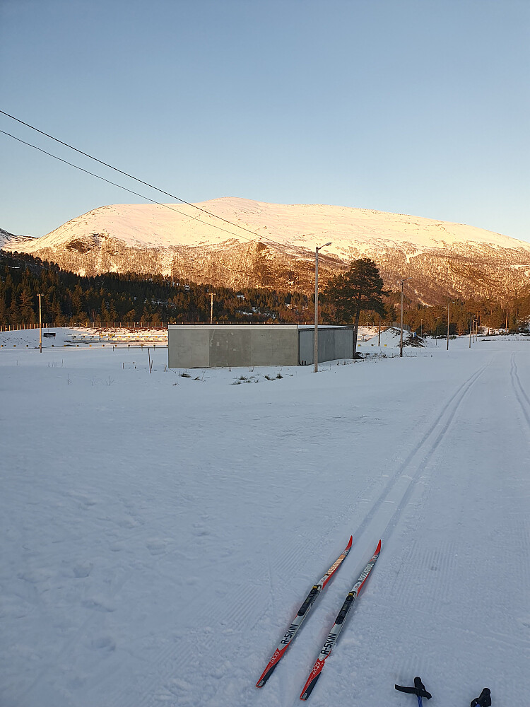 Mot Urfjellet. Felleski i dag, ganske bakglatt, men greit å gå.