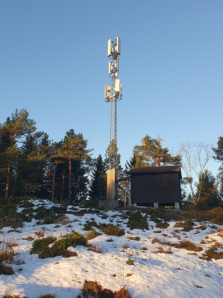 Masta på Opdølhaugen 