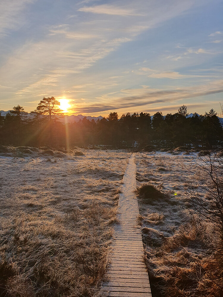 Kursen settes mot Dyrhaugen 