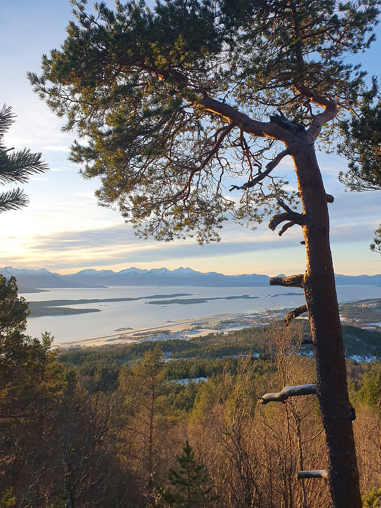 Utsikt fra Veslehausen 