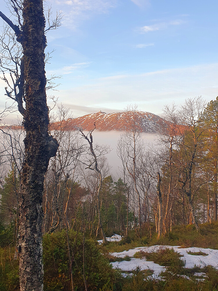 Tjukk tåke i Årødalen  