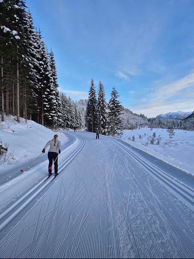 Dagens førerapport fra Skaret.. (Arne)