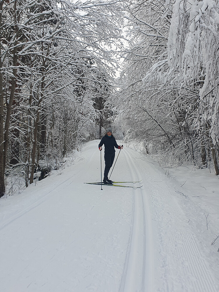 Nydelig føre i Moldemarka. 10 minus og godt gammeldags blå-extra føre.