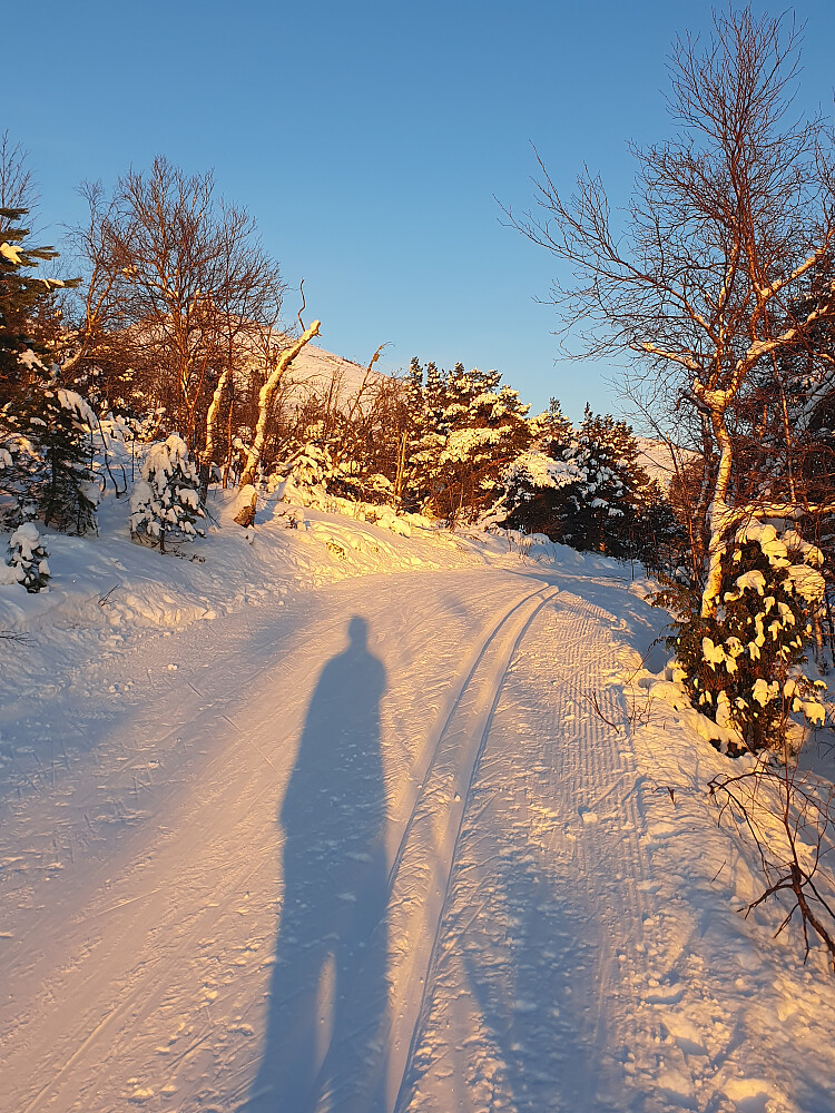 Oppe ved Tustenvegen 