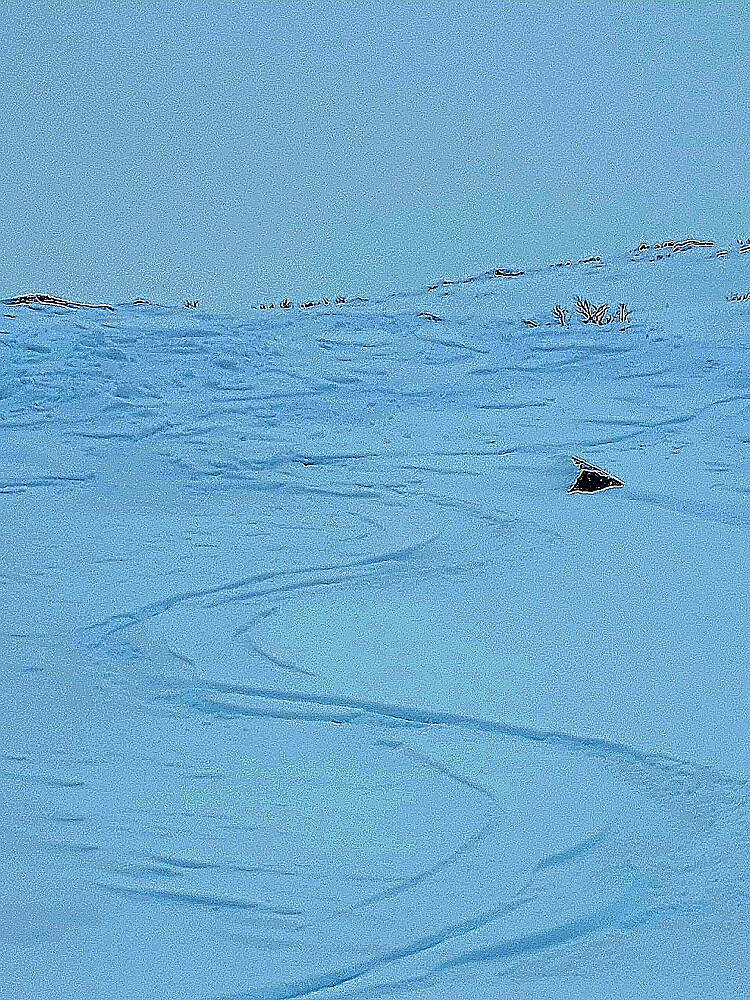 Artig å sette noen svinger igjen - bra føre 