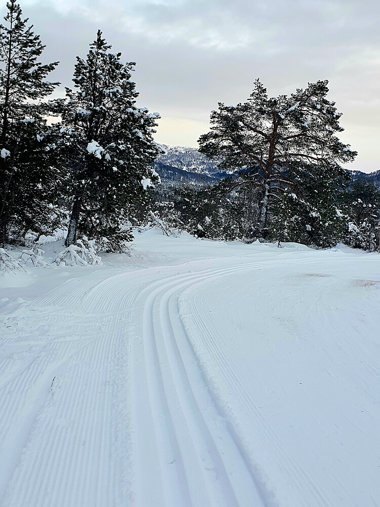 Oppkjørt opp til Appelsinhaugen 
