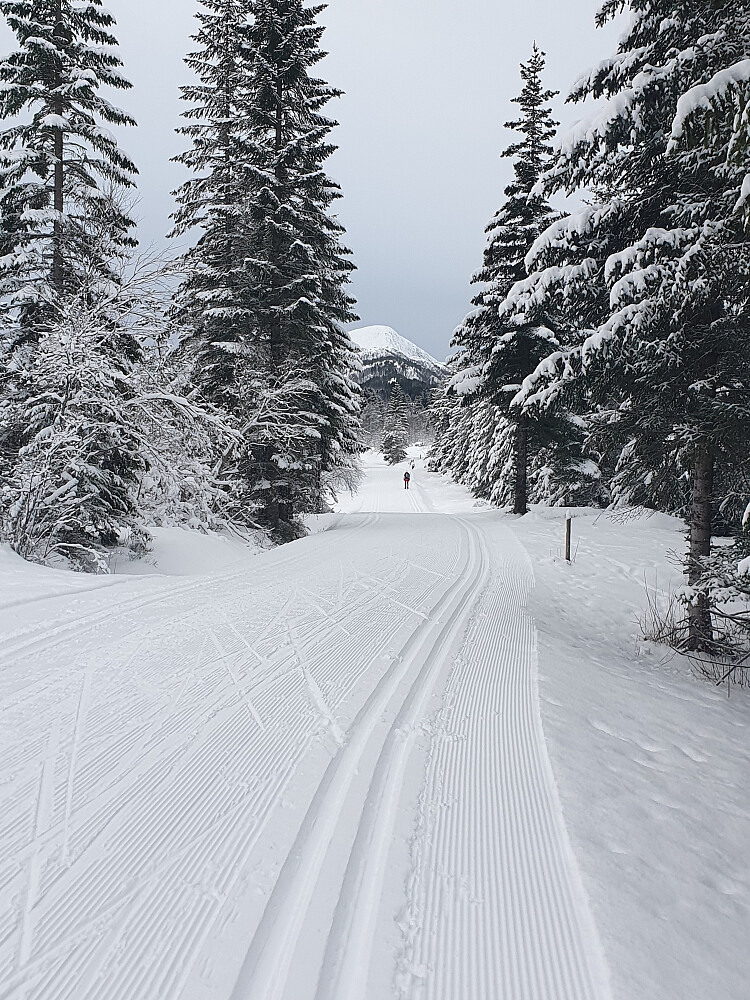 På veg tilbake til Skaret 
