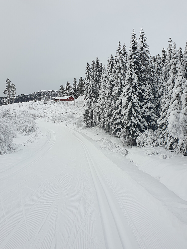 Tilbakeblikk inn mot Kordalen