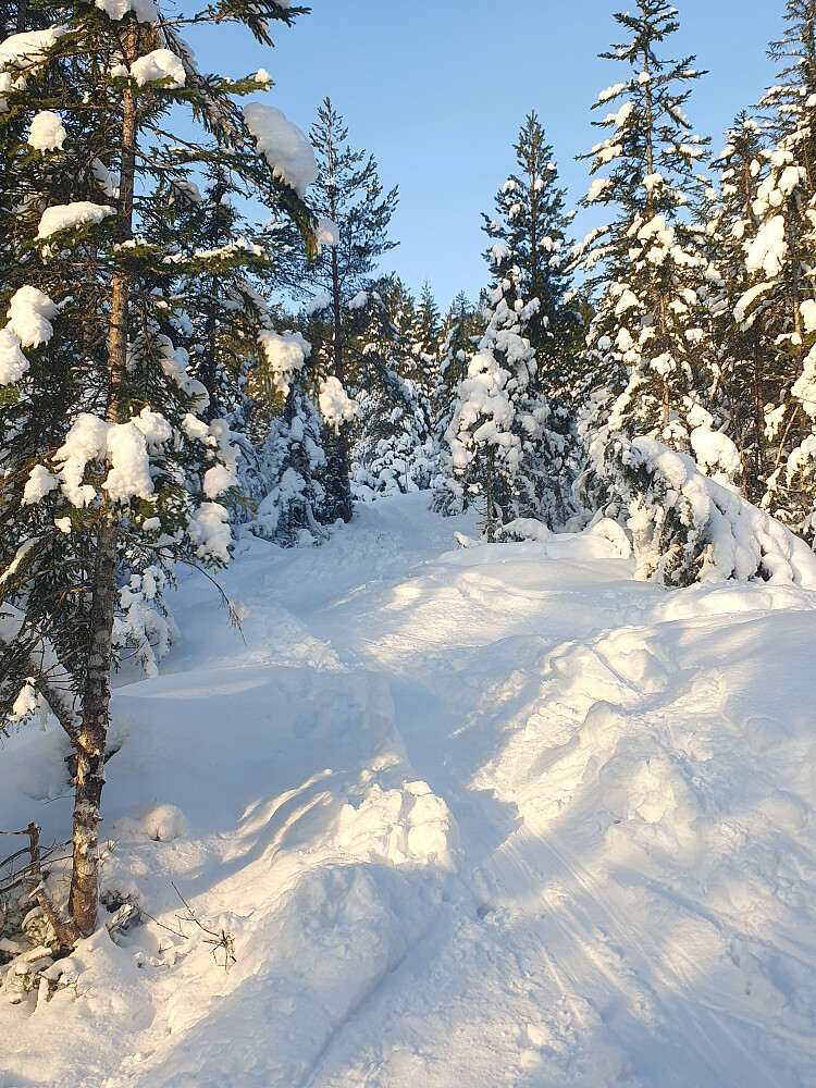 Fint opp Randoløypa 