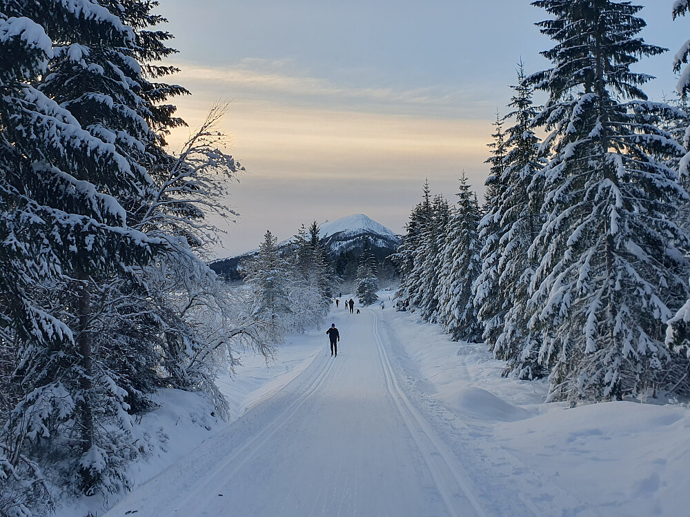 Nydelig tilbake mot Skaret! Tusten i bakgrunnen. 