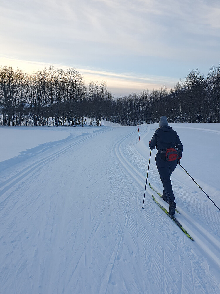 Anne Marit i fin stil 