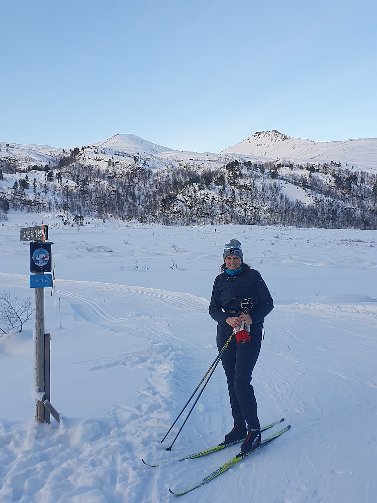 Mot Butippen og Bjørnen 
