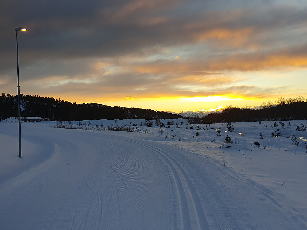 Skaret ( i Skiskytterrunden)