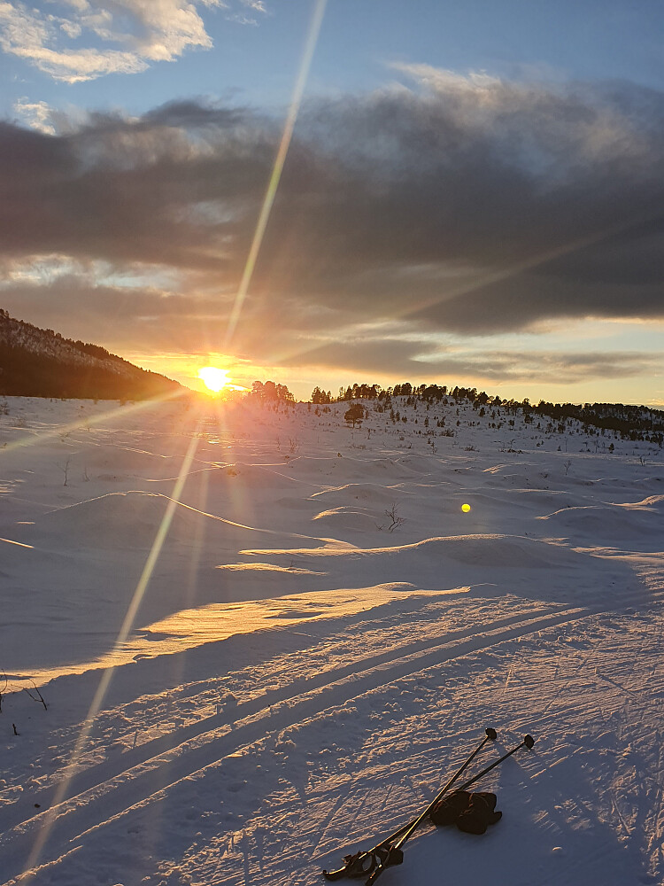 Solnedgang på Berrmyran 