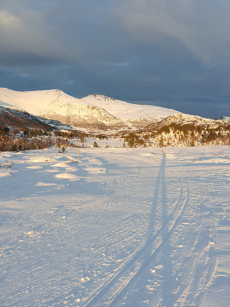 Mot Butippen og Bjørnen 