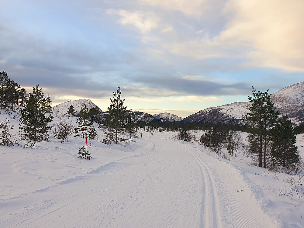 På veg mot Ulvshaugen 