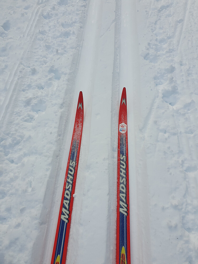 Fortsatt voksføre - meget bra med 0-rode 