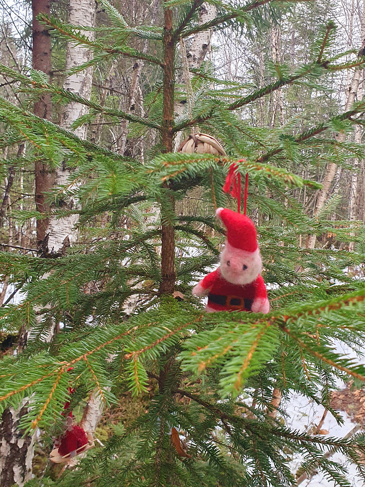 Fortsatt jul i Retiroskogen 