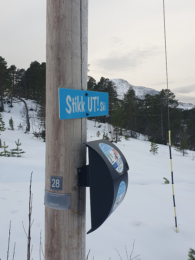 Stikk-ut i lysløypa og på Berrmyran i dag.  