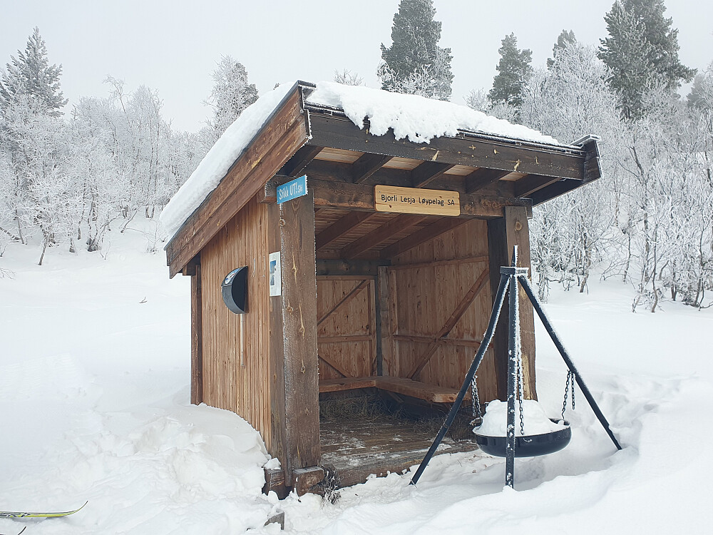 Nystguberget gapahuk 