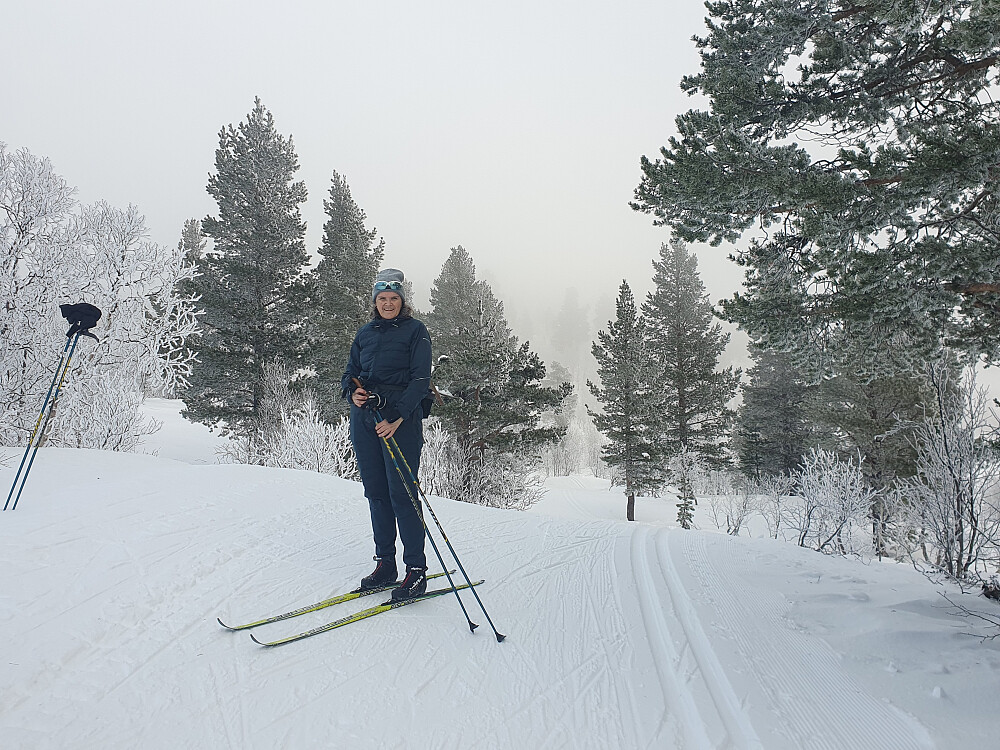 Oppe på Nystguberget 