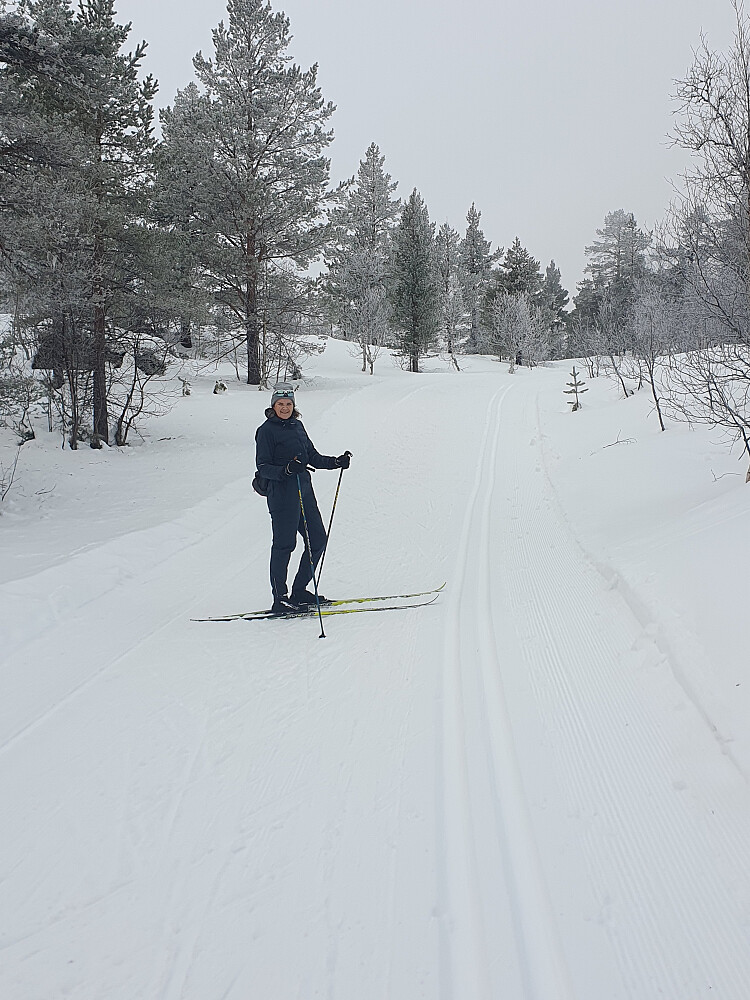 Bratte bakker opp mot Nystguberget 